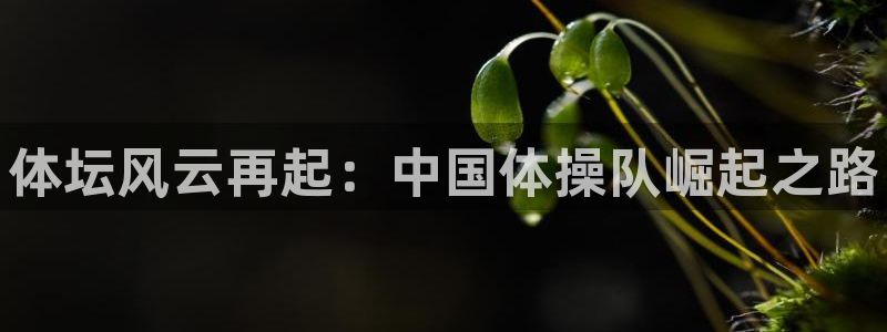 vsport体育官方正版app娱乐网站