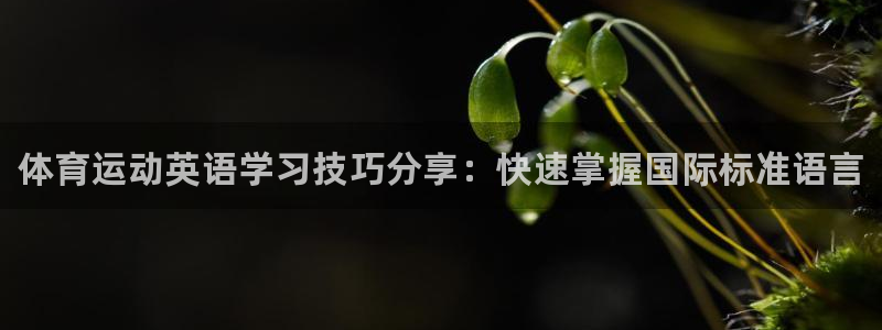 vsport体育官方正版app集团官网首页