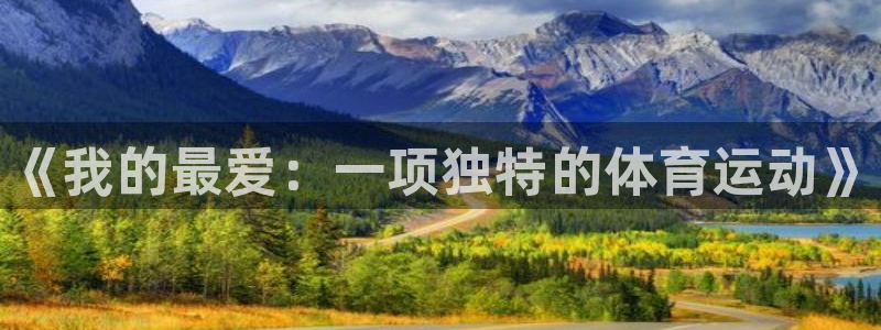 vsport体育官方正版app娱乐下载