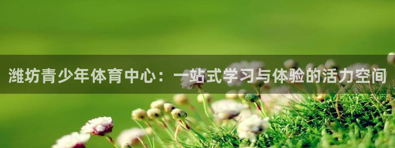 vsport体育官网下载平台注册流程图：潍坊青少年体育中心：