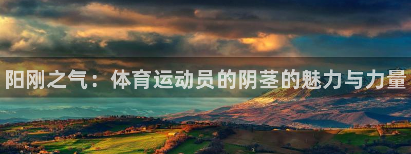 vsport体育官网下载联系电话