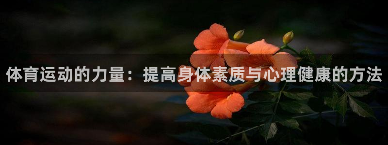 vsport体育官网下载平台注册要钱吗安全吗：体育运动的力量