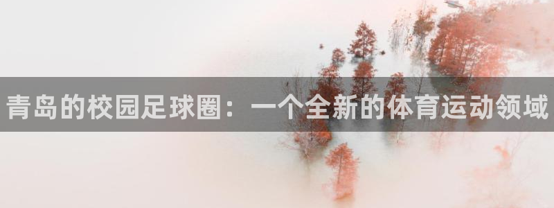 vsport体育官方正版app集团官网网址