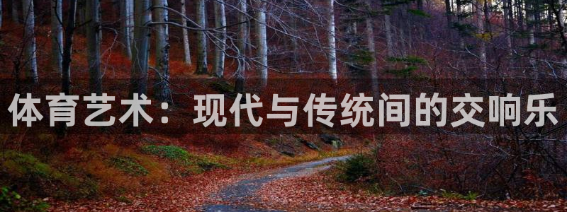 vsport体育官网下载招商：体育艺术：现代与传统间