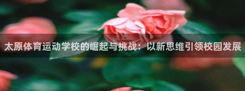 vsport体育官方正版app科技：太原体育运动学校