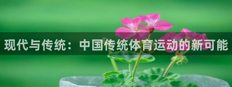 vsport体育官网下载平台是正规平台吗：现代与传统：中国传
