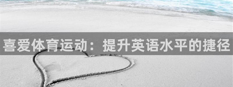 vsport体育官网下载招商电话