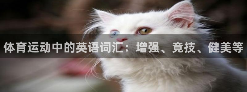 vsport体育官方正版app娱乐平台：体育运动中的