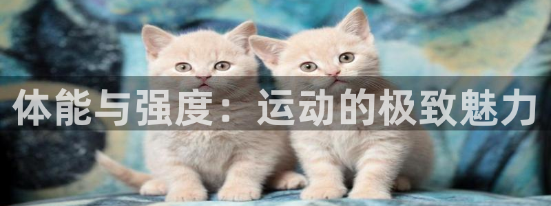 vsport体育官方正版app开户：体能与强度：运动的极致魅