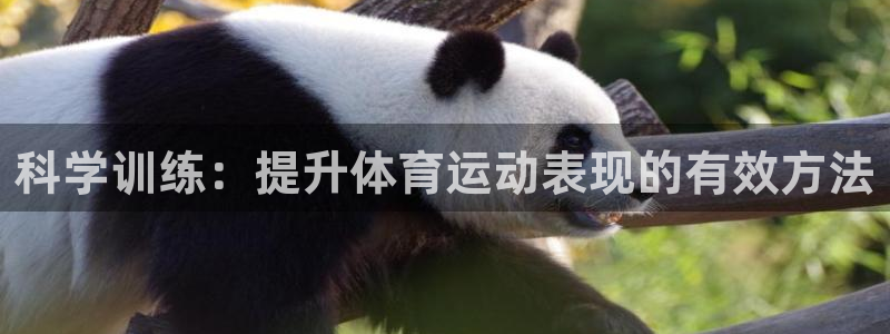 vsport体育官网下载平台：科学训练：提升体育运动