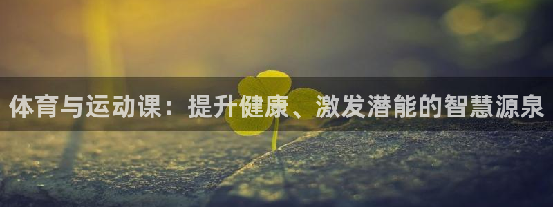 vsport体育官方正版app集团简介：体育与运动课：提升健