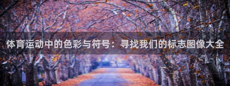 vsport体育官方正版app新能源：体育运动中的色