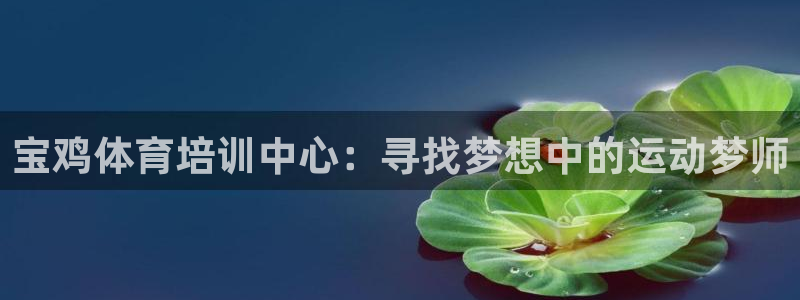 vsport体育官网下载注册：宝鸡体育培训中心：寻找梦想中的