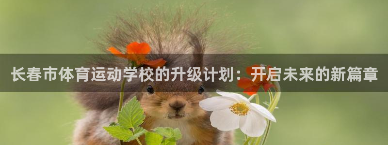 vsport体育官方正版app集团官网网址：长春市体育运动学