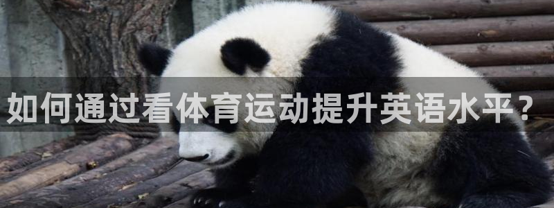 vsport体育官网下载招商电话号码：如何通过看体育运动提升