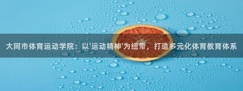 vsport体育官方正版app新能源：大同市体育运动学院：以