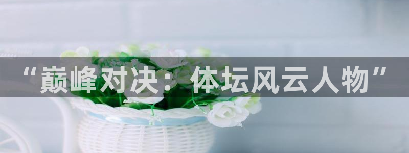 海南vsport体育官网下载：“巅峰对决：体坛风云人物”